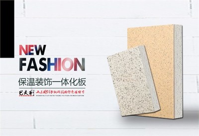 合肥節(jié)能科技協(xié)會與勘察設(shè)計協(xié)會來公司考察參觀